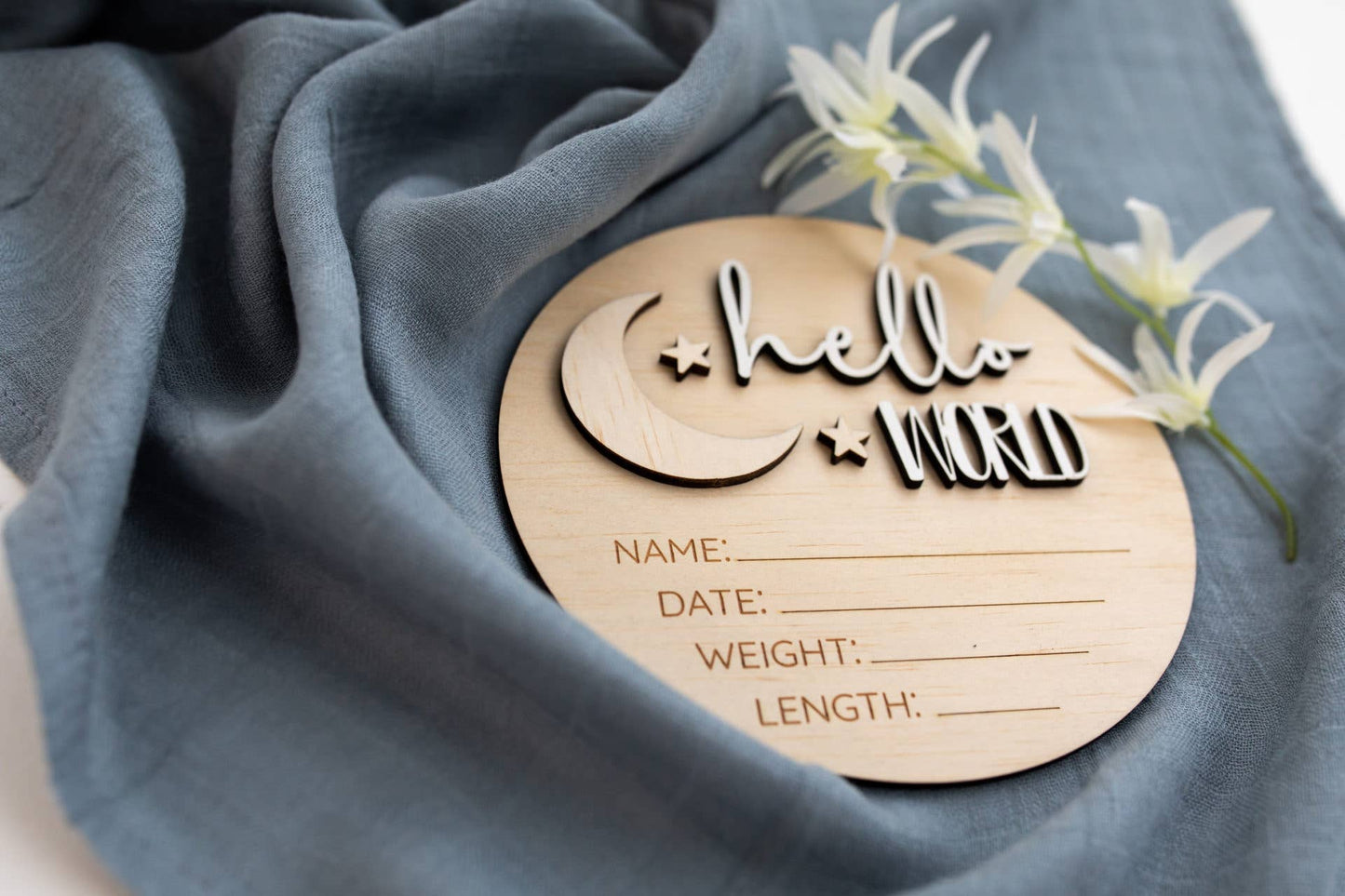 Hello World Moon Birth Announcement