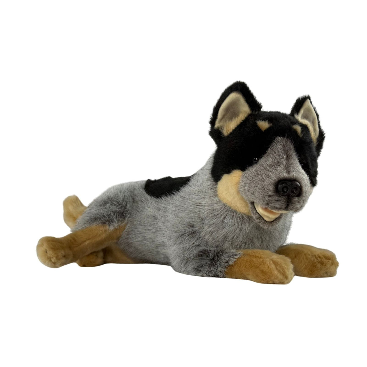 Bocchetta Plush Toys - Gallagher - Australian Blue Cattle Dog Plush Toy - 35cm, Lying