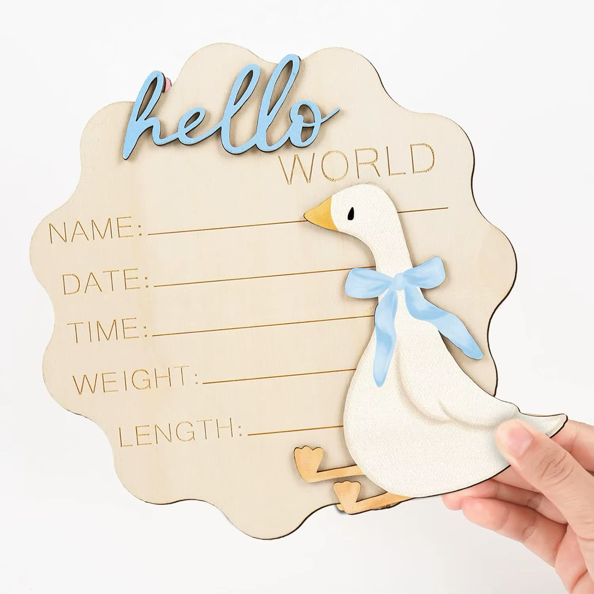 Hello World Baby Announcement Disc - Goose - Pink or blue