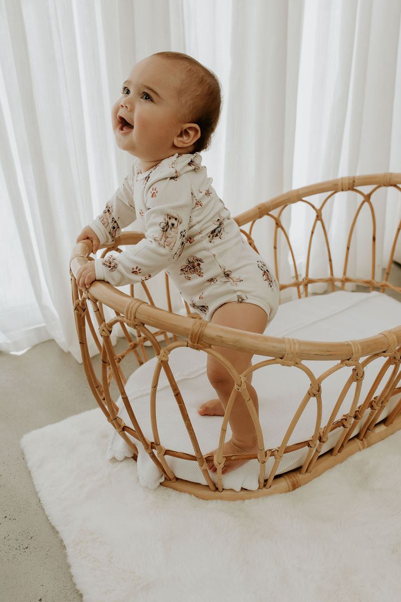 Confetti Kidz - Pawfect Pals - L/S Bodysuit