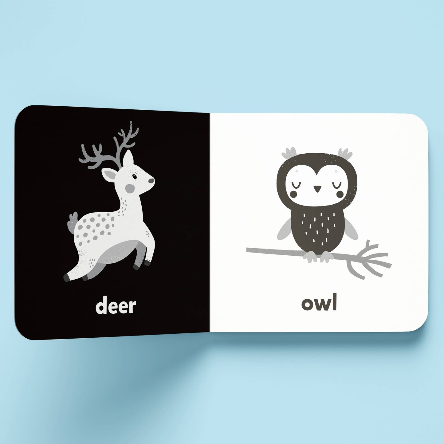 Hinkler Australia - Nature A High-Contrast Board Book