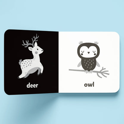 Hinkler Australia - Nature A High-Contrast Board Book