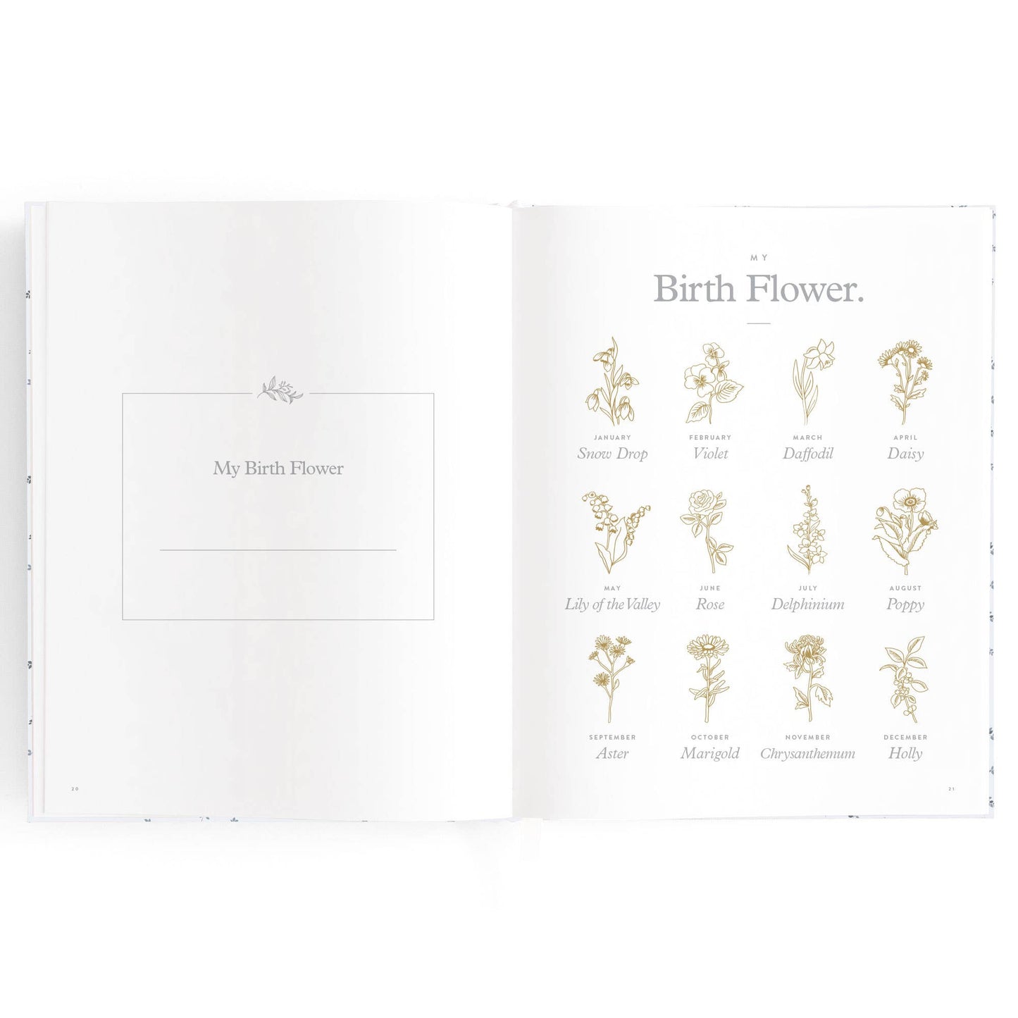 Fox & Fallow - Baby Book Bluebell