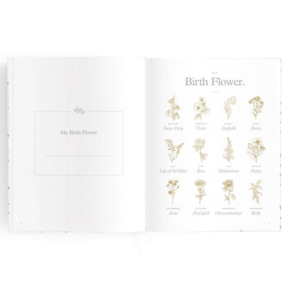 Fox & Fallow - Baby Book Bluebell