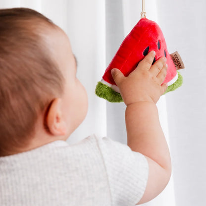 Living Textiles - 2 Pack Mini Market Brunch Stroller Toys - Watermelon & Blueberry