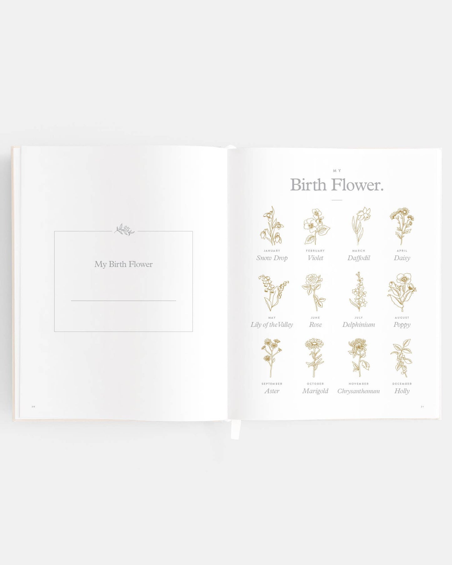 Fox & Fallow - Baby Book Breton Stripe