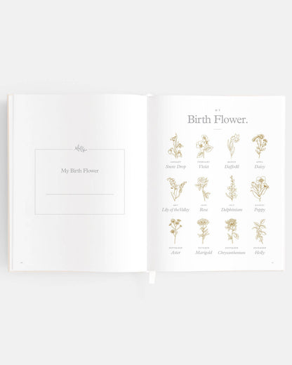 Fox & Fallow - Baby Book Breton Stripe