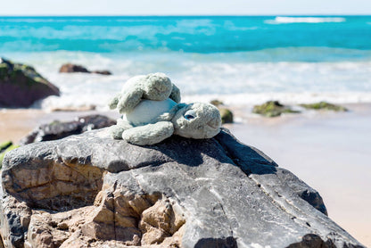 OB Designs Australia - Little Tyler Turtle Soft Toy 7.8" / 20cm