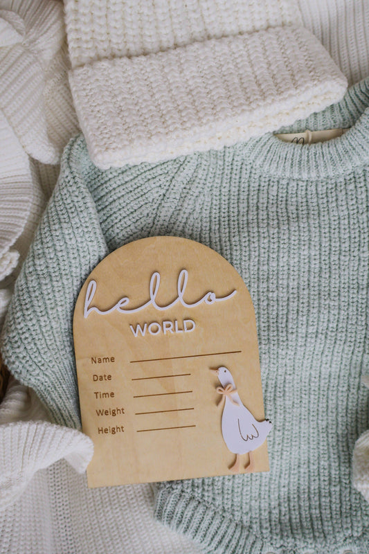 Petite + Co - HELLO WORLD | WRITEABLE | GOOSE