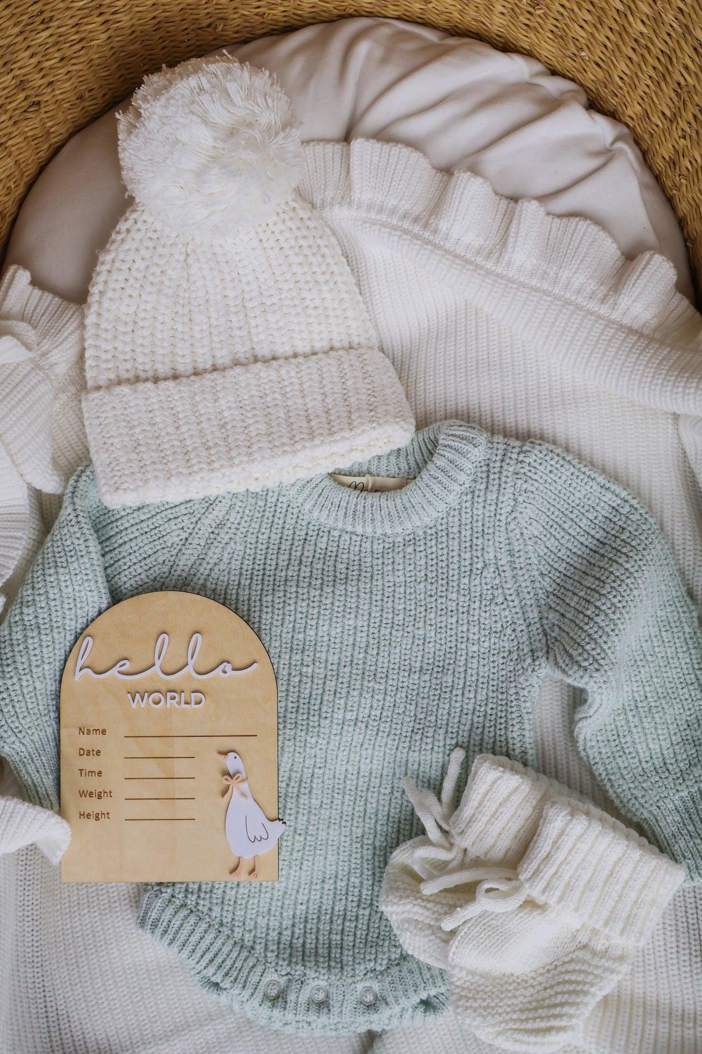 Petite + Co - HELLO WORLD | WRITEABLE | GOOSE