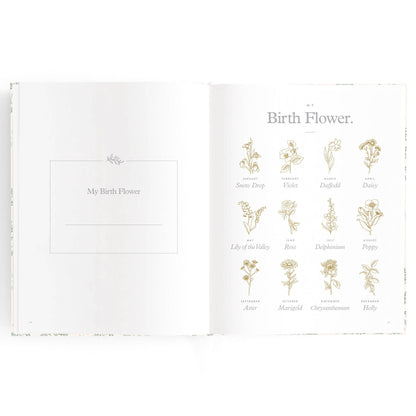Fox & Fallow - Baby Book Cypress