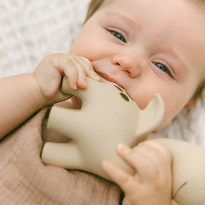 Winnie Parkes - Diplo the Dino-Dragon Natural Rubber Teether