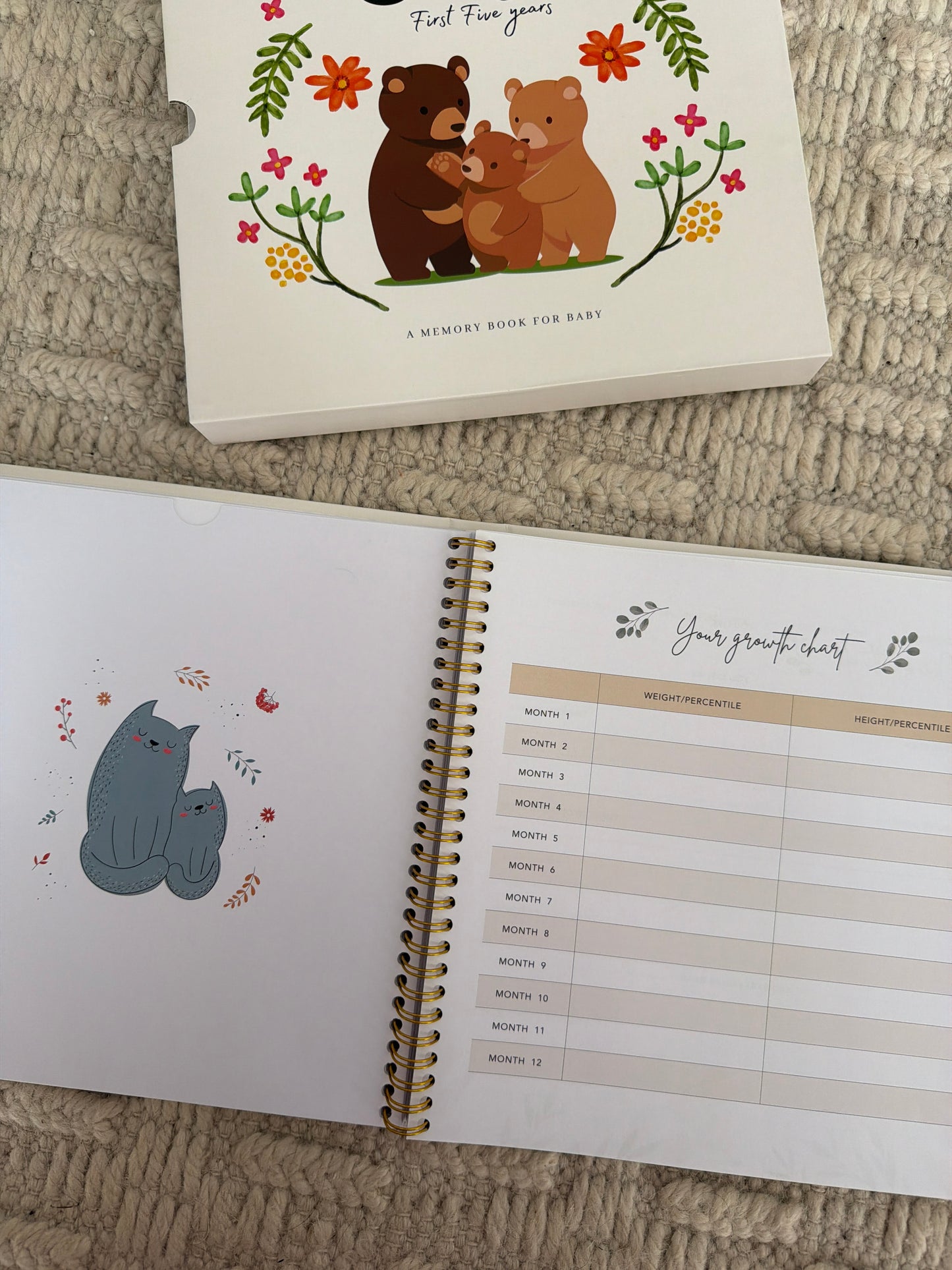 Baby Book - Assorted