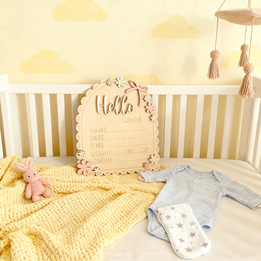 Hello World Baby Announcement Disc - Pink Floral Arch