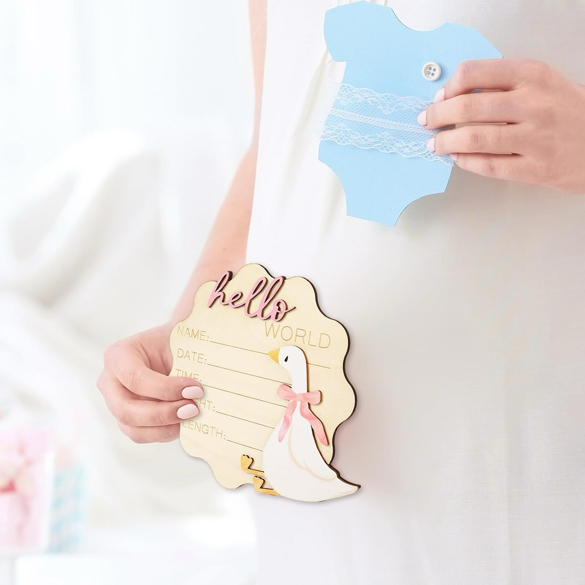 Hello World Baby Announcement Disc - Goose - Pink or blue