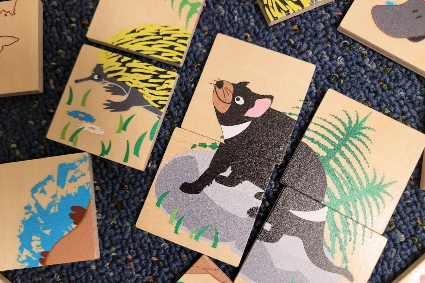 Koala Dream - Australian Animal Puzzle Box - 24 Pcs