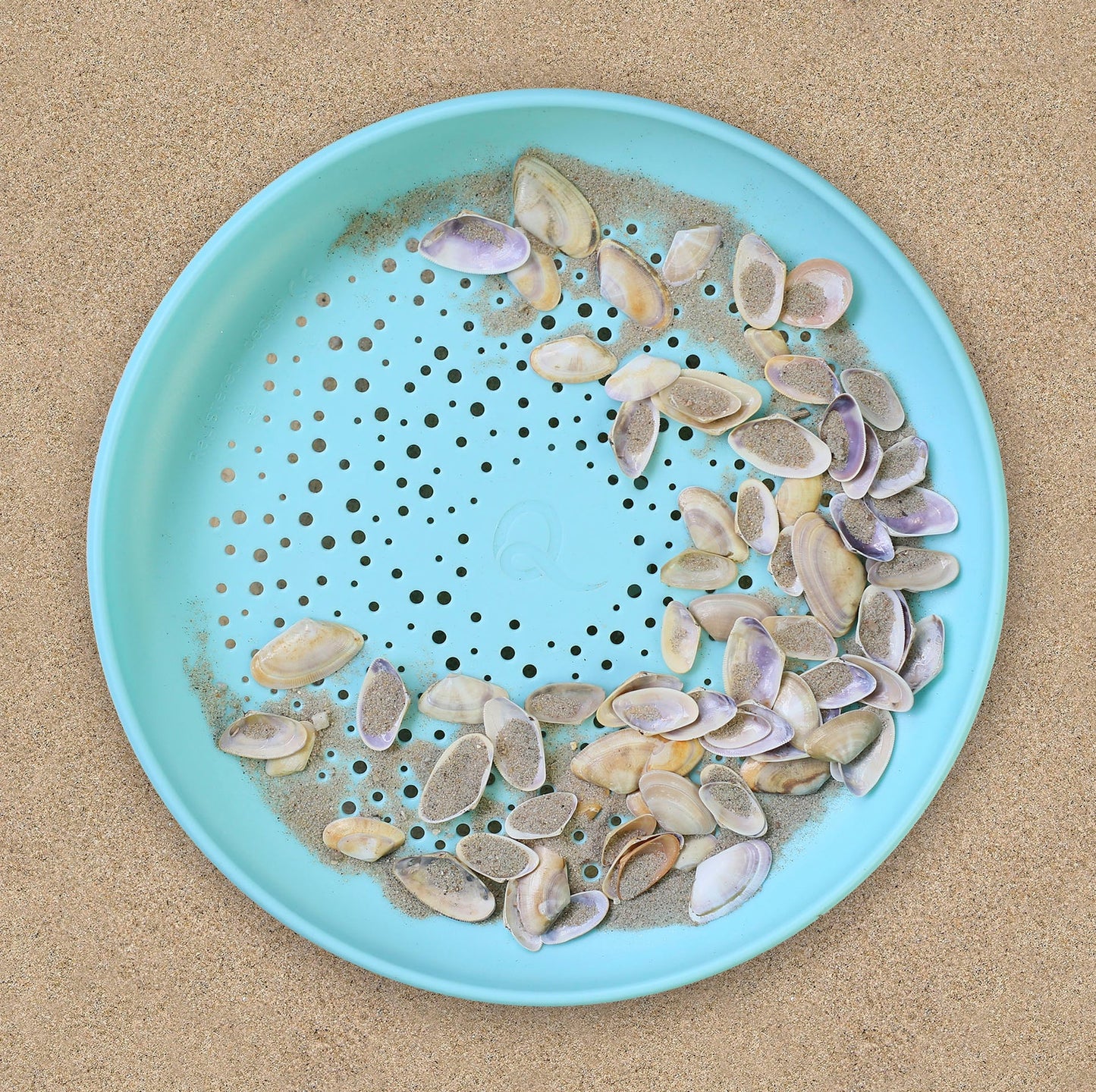 mishmashed - Flying Disc + Sand Sifter