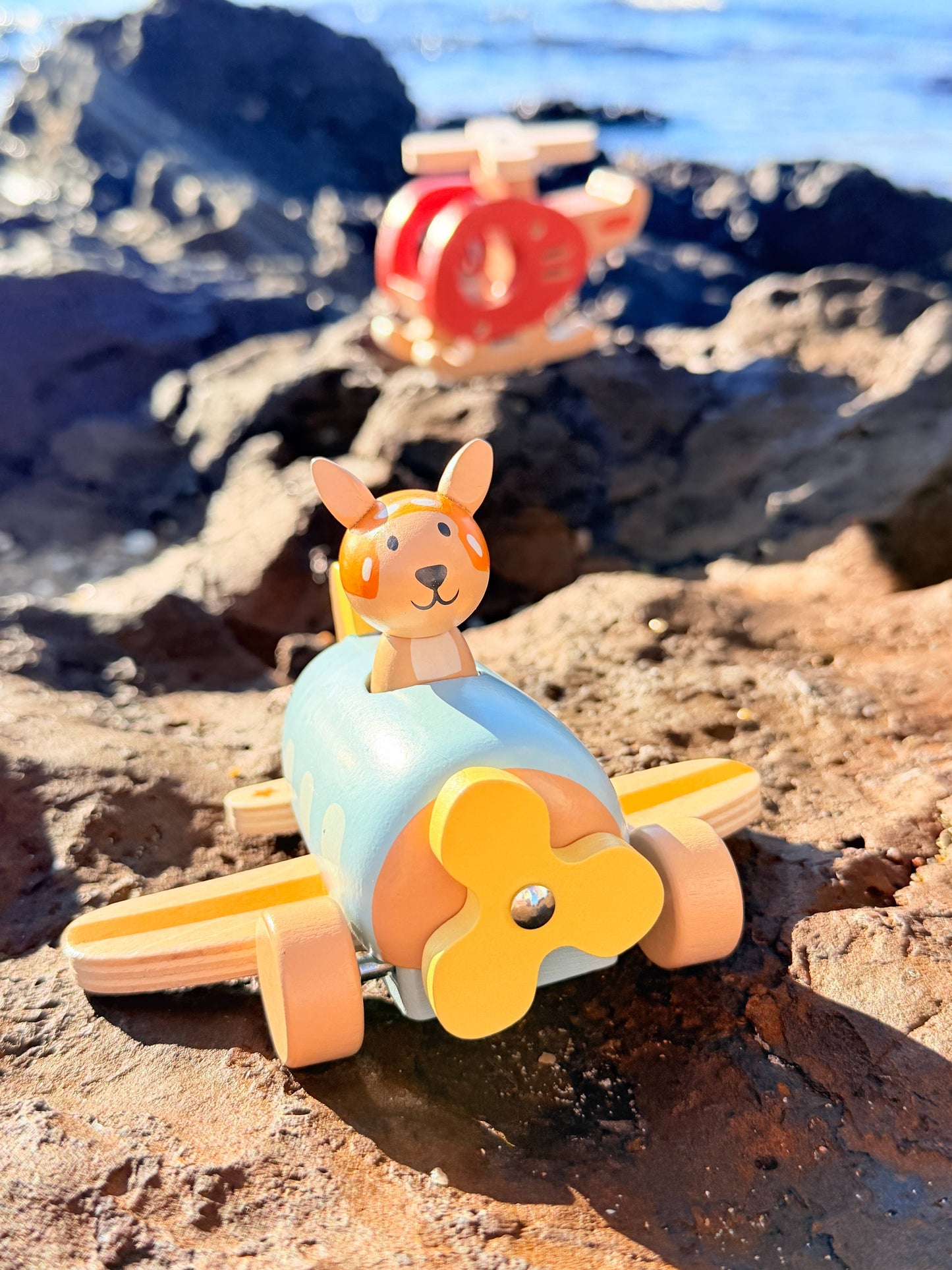 ToysLink - Onya Kids Wooden Kangaroo Airplane