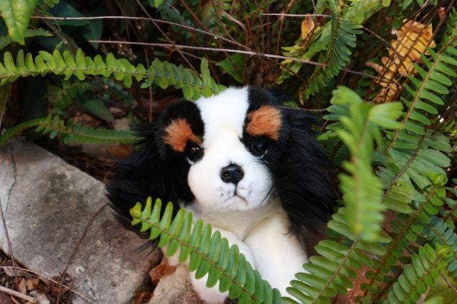 Bocchetta Plush Toys - Alex - Tri-colour Cavalier King Charles Spaniel puppy 28cm