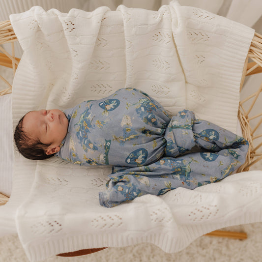 Emotion & Kids - Dinosaurs of the World Muslin Wrap/Swaddle