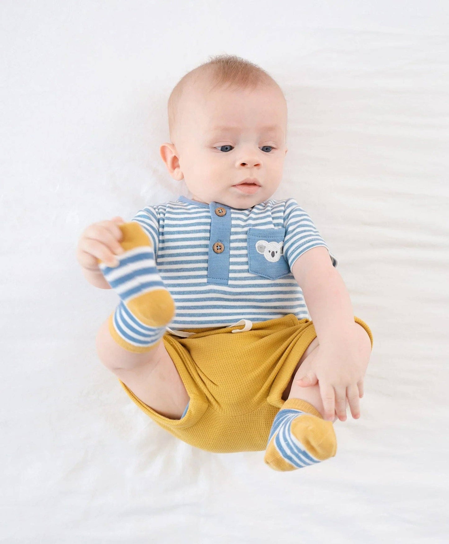 Lūmmi in Colour Babywear - Organic Cotton Short Sleeve Bodysuit - Koala & Blue Stripes