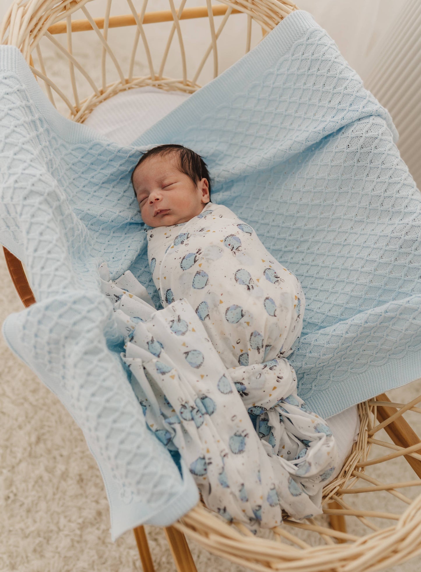 Emotion & Kids - Blue Hot Air Balloon Muslin & Blue White Pram Clip Set