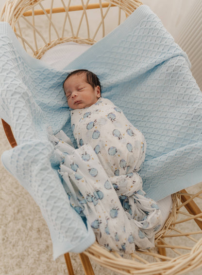 Emotion & Kids - Blue Hot Air Balloon Muslin & Blue White Pram Clip Set