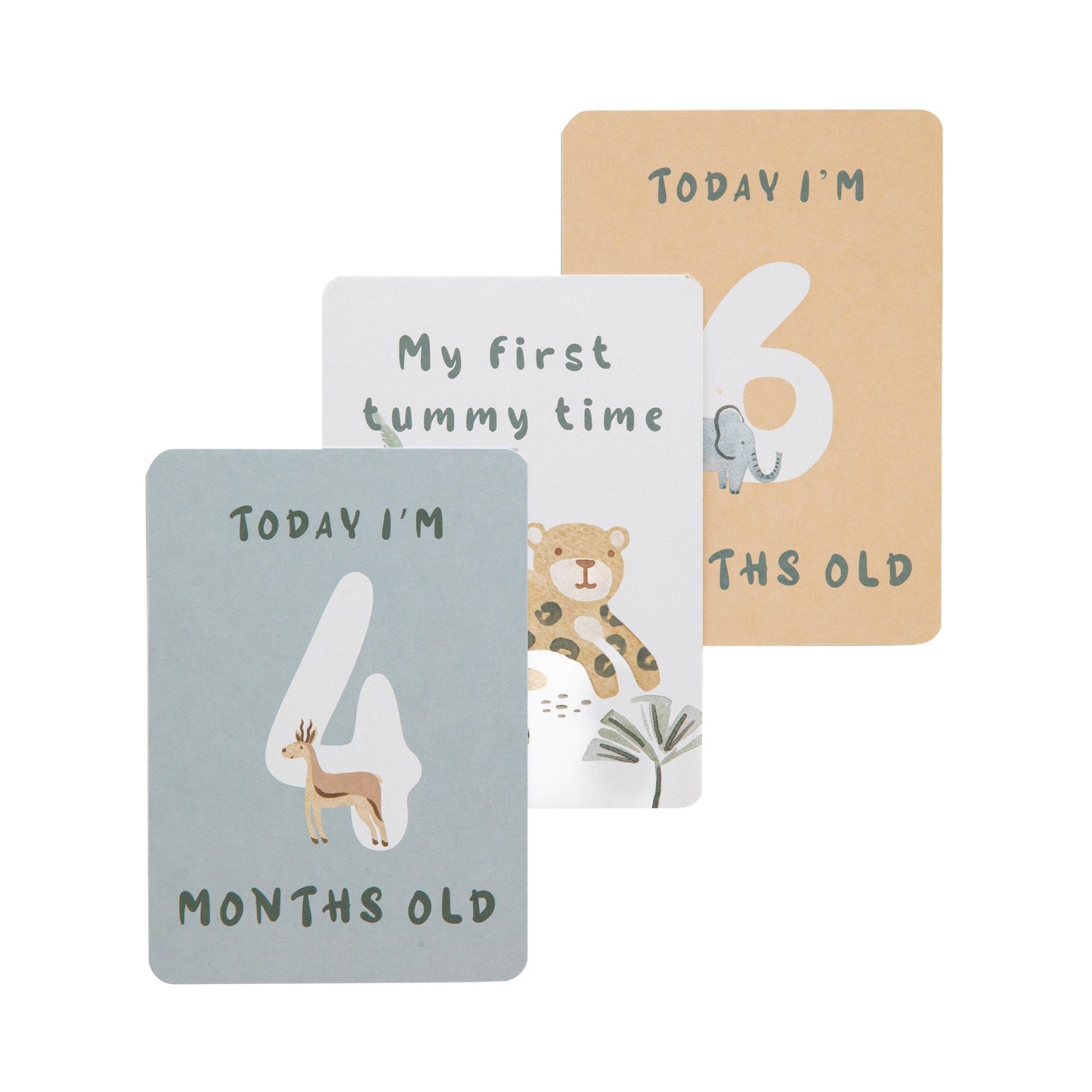 Living Textiles - Milestone Cards - Wild Safari