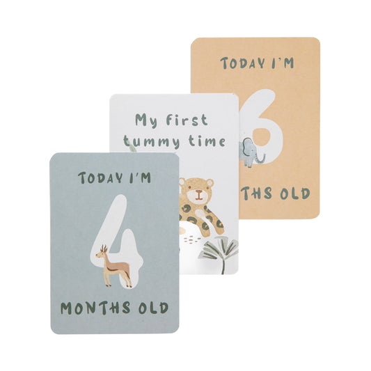 Living Textiles - Milestone Cards - Wild Safari