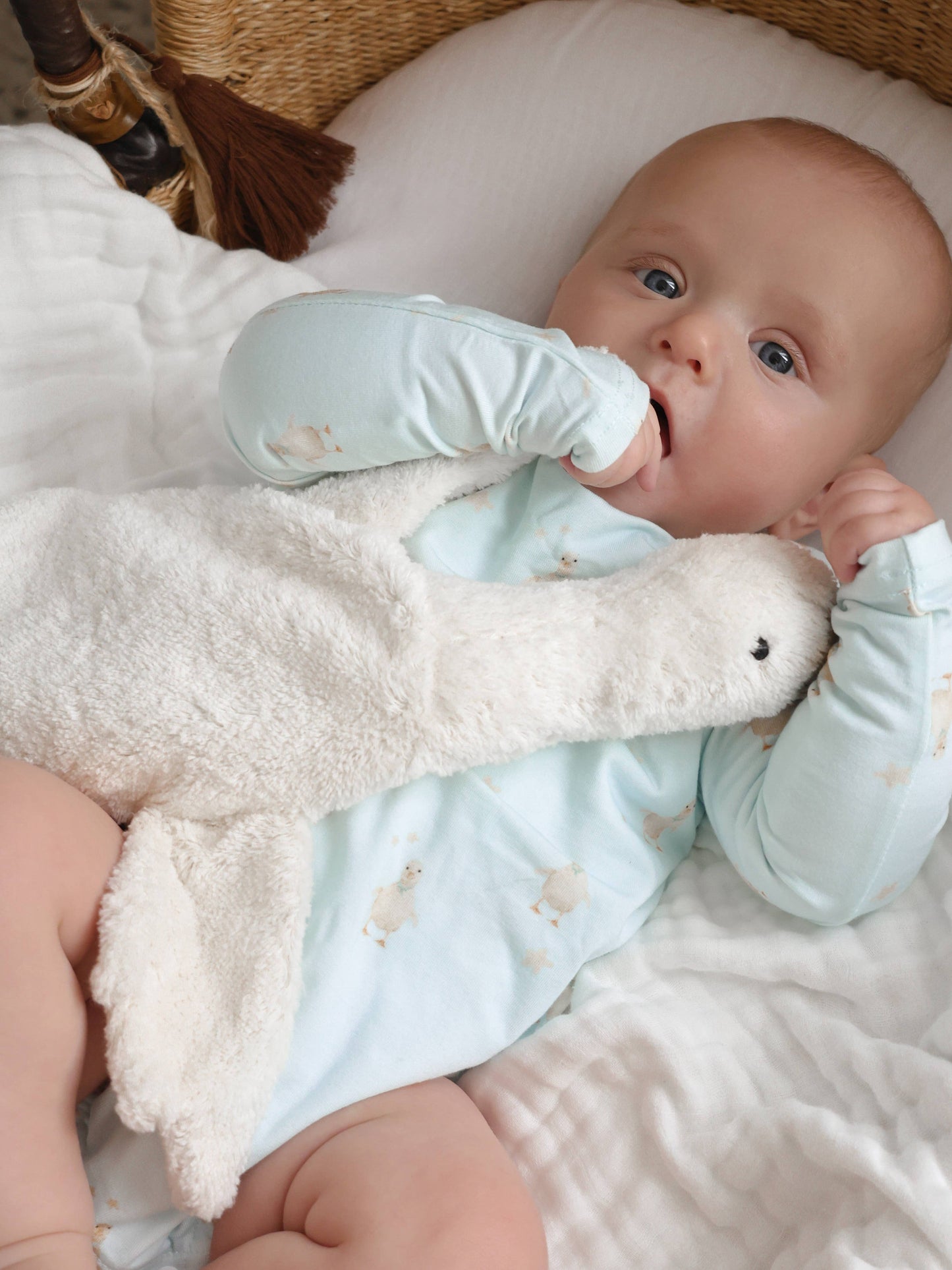 Elke & Indigo - Bamboo/Organic Cotton Romper - Little Duck