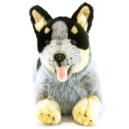 Bocchetta Plush Toys - Rusty - Australian Cattle Dog Size 30cm/12"