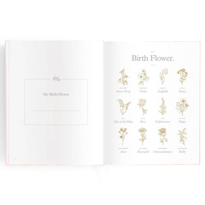 Fox & Fallow - Baby Book Petal Stripe