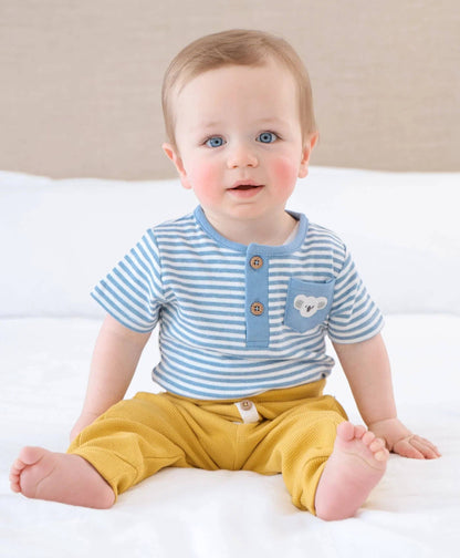 Lūmmi in Colour Babywear - Organic Cotton Short Sleeve Bodysuit - Koala & Blue Stripes