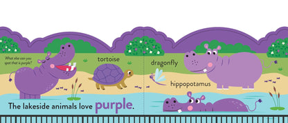 Lake Press - Chunky Scenes Board Book - My First Colours - At the Zoo