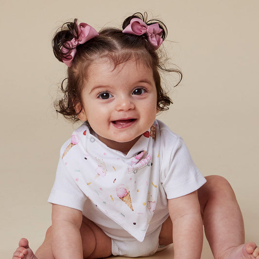 Snuggle Hunny - Ice Creams Organic Dribble Bib