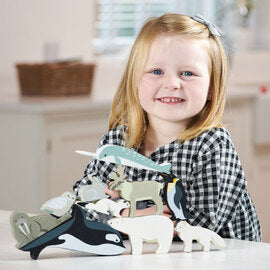 Wooden Polar Animals with Display Shelf