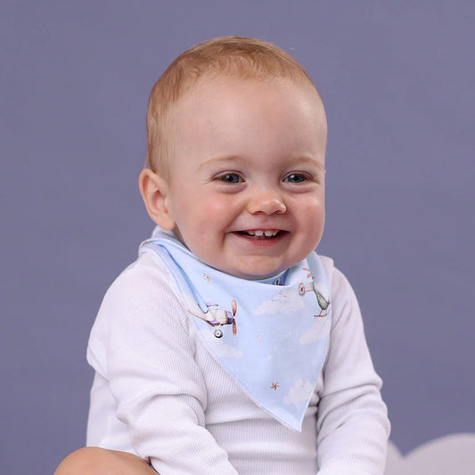 Snuggle Hunny - Taking Flight Organic Dribble Bib