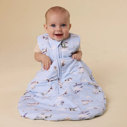 Snuggle Hunny - Taking Flight Organic Sleeping Bag 2.5 TOG