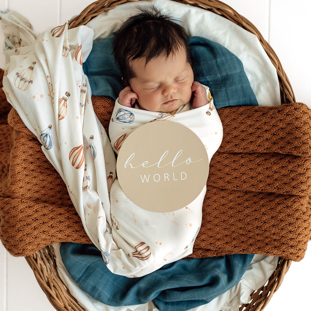 Snuggle Hunny Up & Away & Pebble Reversible Milestone Cards